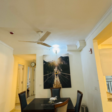 3.5 BHK Apartment For Rent in Omaxe The Palace Sushant Golf City Lucknow  8228923