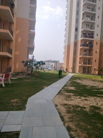 1 BHK Apartment – Exterior View View at ROF Amaltas, Sector 92 - for Rent