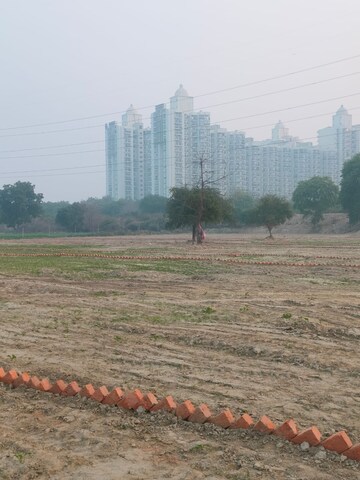  Plot For Sale in Sector 143