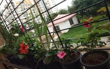4 BHK Penthouse For Sale in Venkatesh Flora Phase II, Mundhwa
