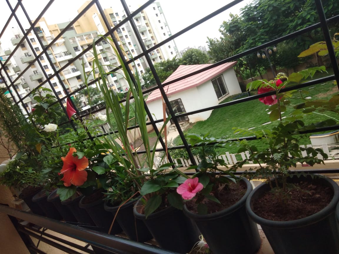 4 BHK + Pooja Room Penthouse For Sale in Venkatesh Flora Phase II