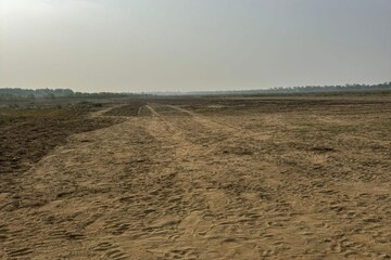 Plot For Resale in Ranjit Nagar Jamnagar  8229131