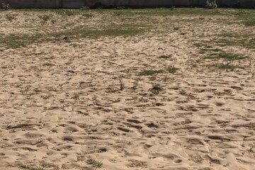 Plot Area in  Plot at Ranjit Nagar – for Sale