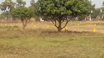 Plot For Resale in Kotta Agraharam Vizianagaram  8229588