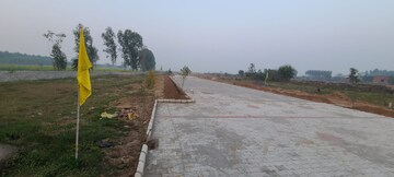  Plot For Sale in Patiala Road