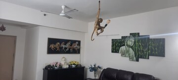 2.5 BHK Apartment For Rent in Pioneer Park Phase 1, Sector 61