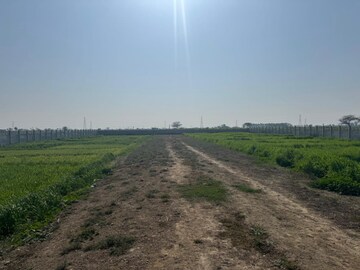 Commercial Land 1 Acre For Rent in Nangla Gujran Faridabad  8231181