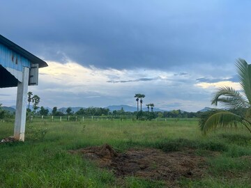 Plot Area in  Land at S Kota – for Sale