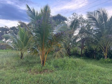  Land – Exterior View View at S Kota - for Sale
