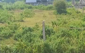 Plot For Sale in Padampura