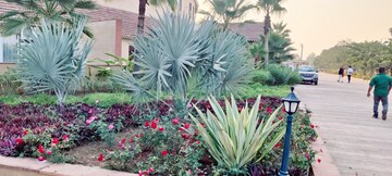  Plot – Garden View at Dhamtari Road - for Sale