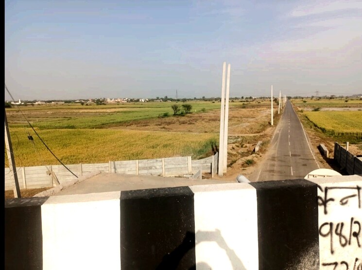 undefined, sohna  118 Sq.Yd. Plot In Sohna Gurgaon 8231830