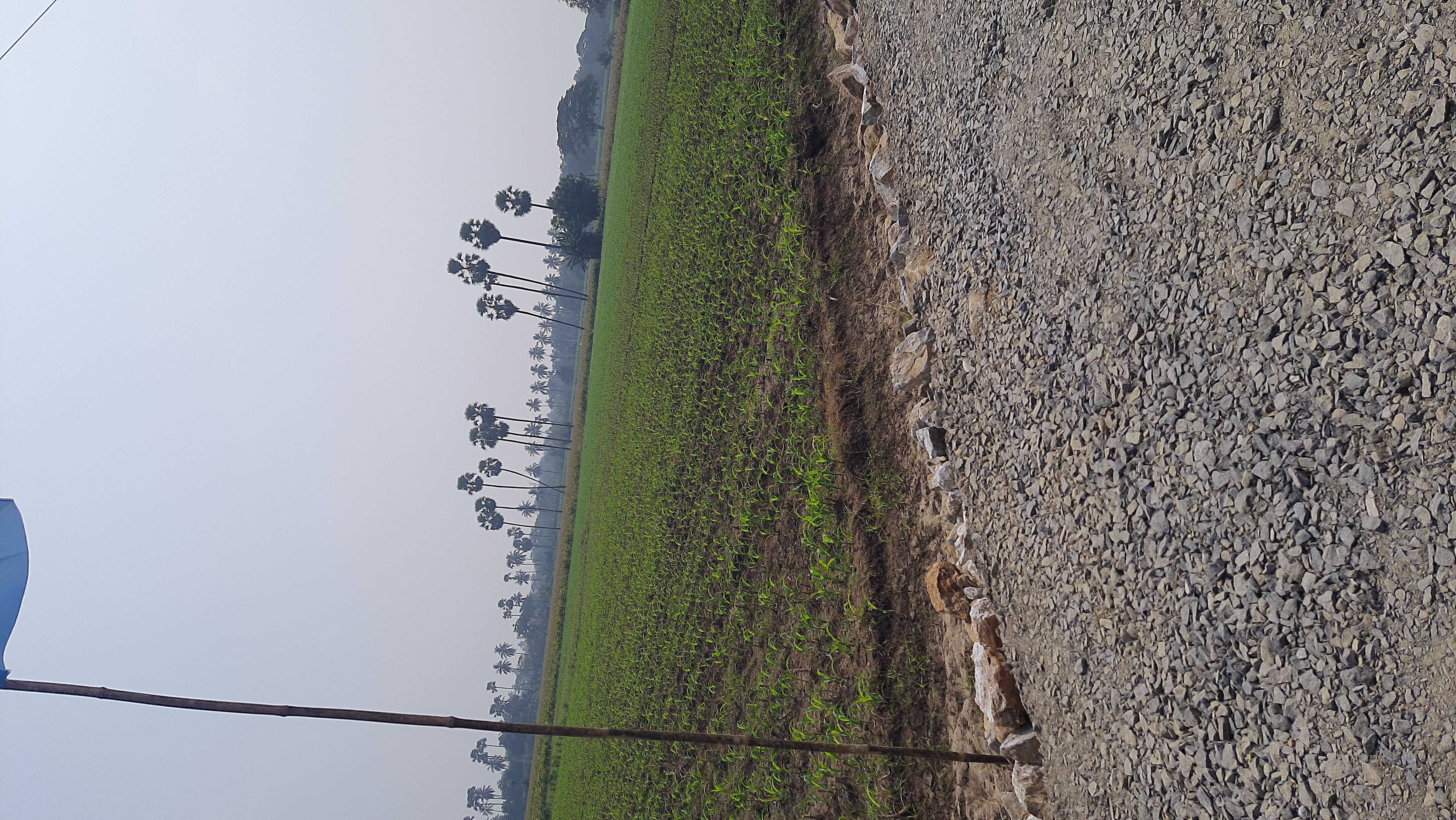 Plot For Sale in Chaturbhuja Trimbak Oaks 