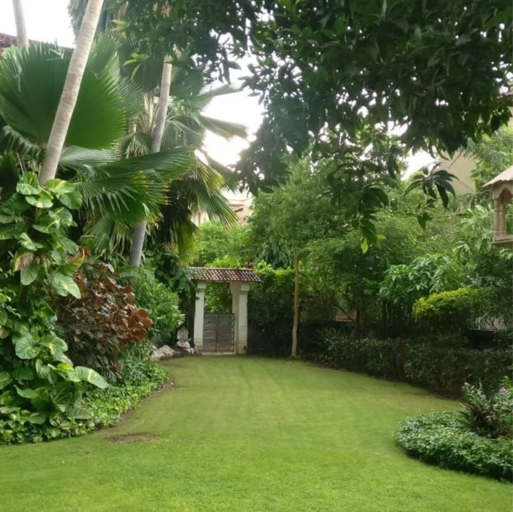 Garden, vishwanath-sharanam-6 3 Bedroom 460 Sq.Yd. Villa In Ramdevnagar Ahmedabad 8233190