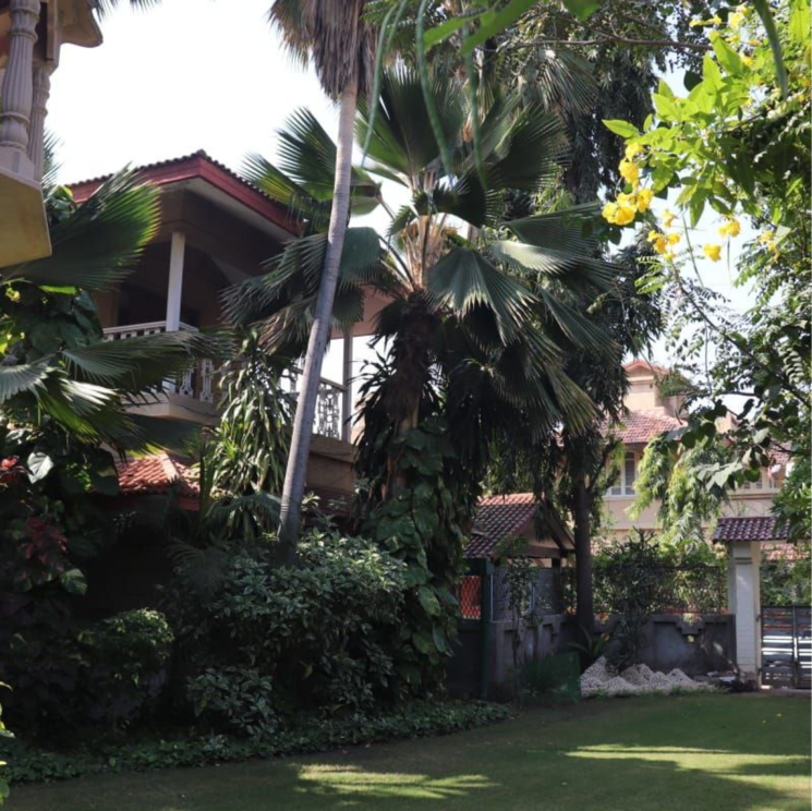 Garden, vishwanath-sharanam-6 3 Bedroom 460 Sq.Yd. Villa In Ramdevnagar Ahmedabad 8233190