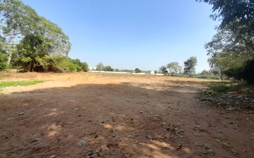 Land For Rent in Jaspur