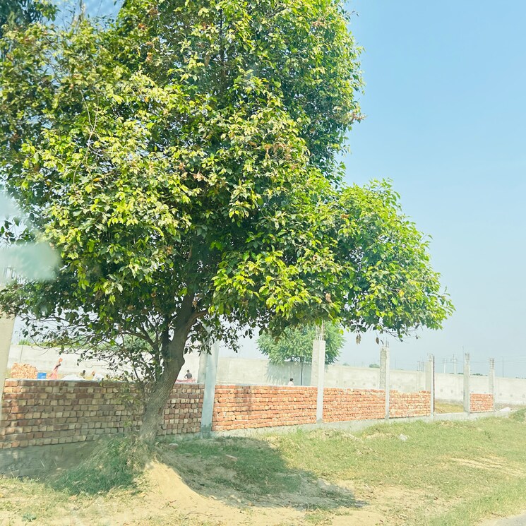Garden, sector 33  117 Sq.Yd. Plot In Sector 33 Sonipat 8233904