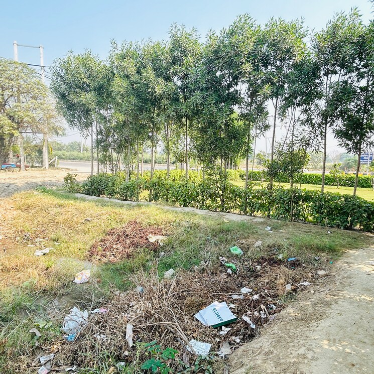undefined, sector 33  117 Sq.Yd. Plot In Sector 33 Sonipat 8233904