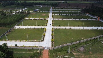  Plot For Sale in Delta Ii Greater Noida