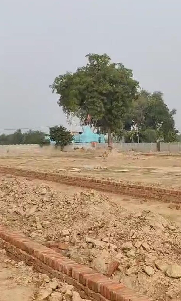 undefined, noida central  50 Sq.Yd. Plot In Noida Central Noida 8234280