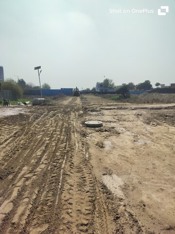Plot Area in  Plot at Sector 150 – for Sale