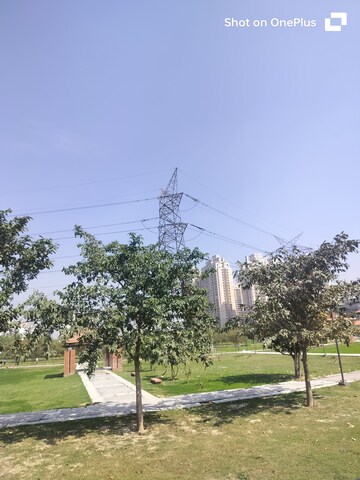  Plot – Garden View at Sector 150 - for Sale
