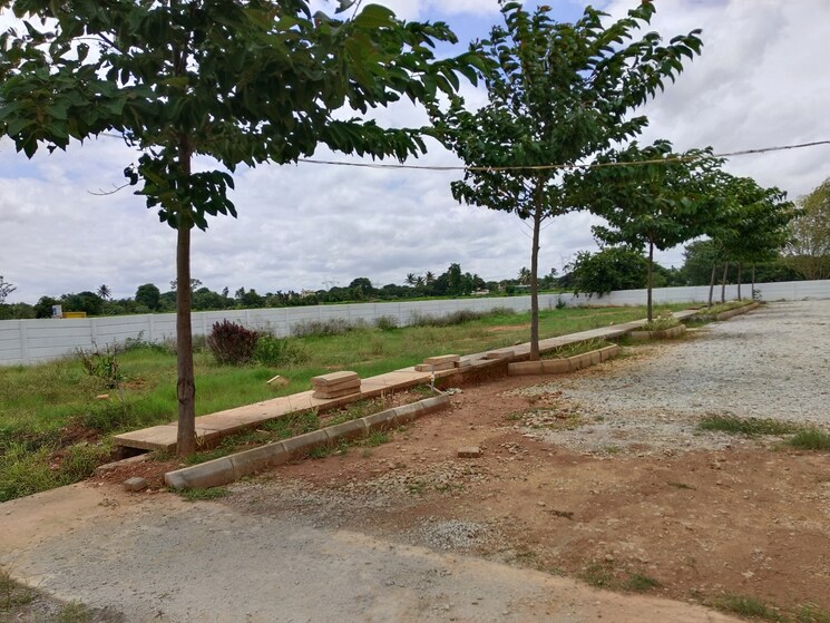 undefined, hoskote  1500 Sq.Ft. Plot In Hoskote Bangalore 8234478
