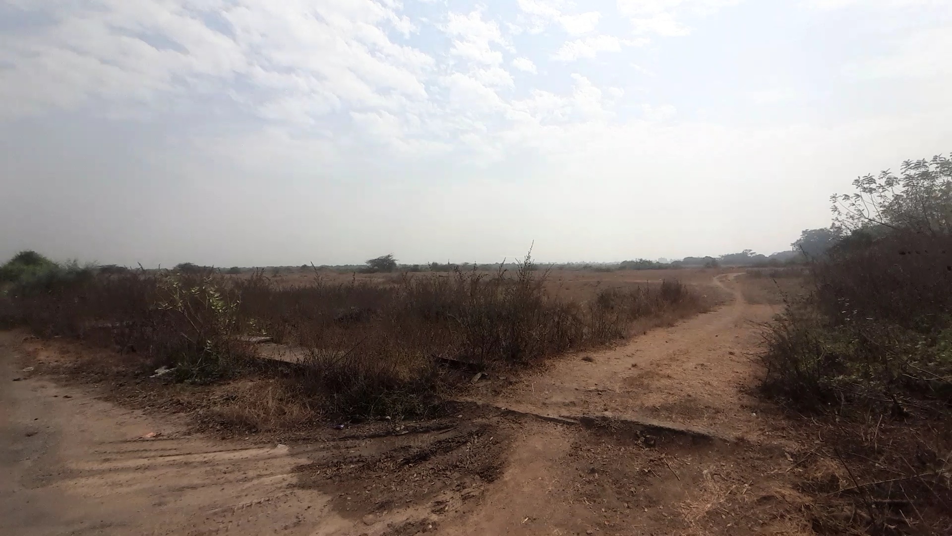 Plot For Sale in Commercial Plot 