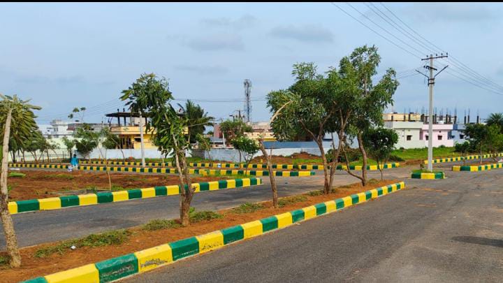 Plot For Sale in Fortune Butterfly City