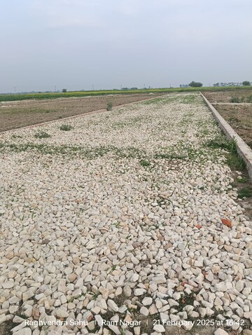 Plot Area in  Plot at Lohgara – for Sale