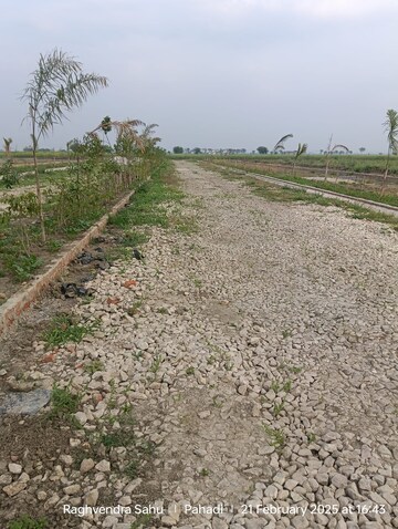Plot Area in  Plot at Lohgara – for Sale