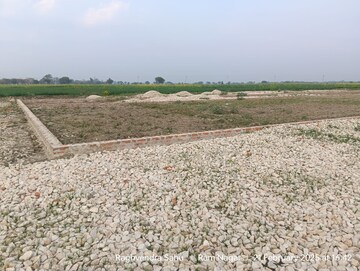 Plot Area in  Plot at Lohgara – for Sale
