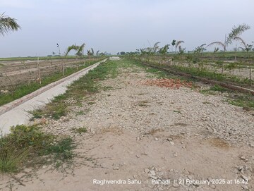 Plot Area in  Plot at Lohgara – for Sale
