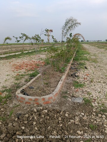 Plot Area in  Plot at Lohgara – for Sale