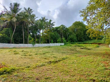 Plot For Resale in Mankara Palakkad  8235293