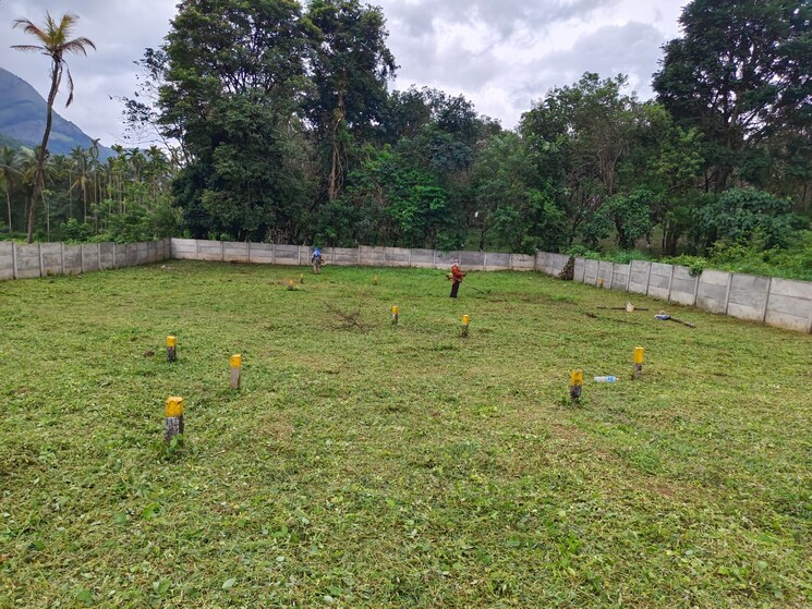 undefined, mankara  1744 Sq.Ft. Plot In Mankara Palakkad 8235293