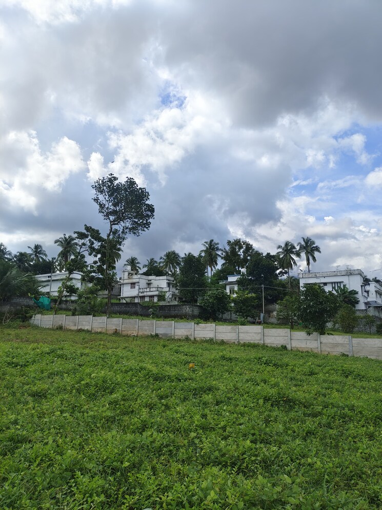 undefined, mankara  1744 Sq.Ft. Plot In Mankara Palakkad 8235293