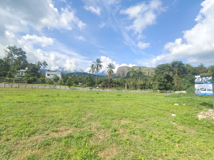 undefined, mankara  1744 Sq.Ft. Plot In Mankara Palakkad 8235293