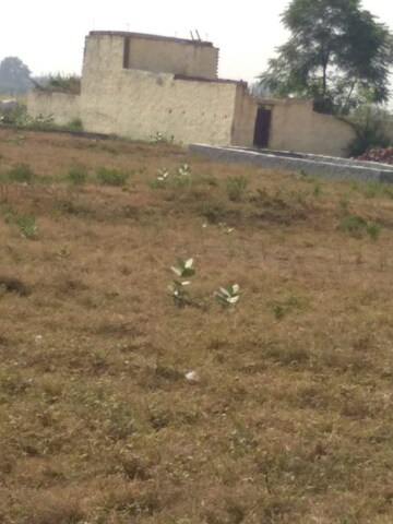Plot Area in  Plot at Yamuna Expressway – for Sale