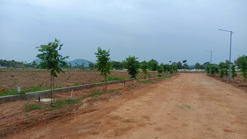 Plot For Resale in Kondakarla Ava Vizag  8236675