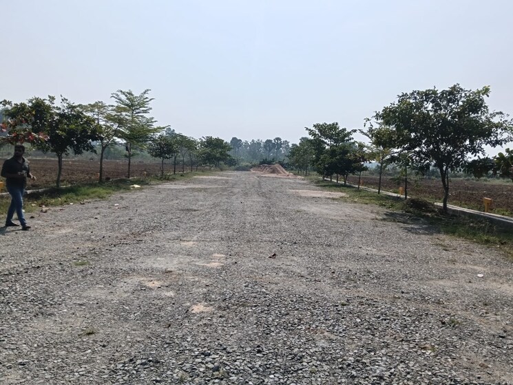 undefined, vizianagaram cantonment  220 Sq.Yd. Plot In Vizianagaram Cantonment Vizianagaram 8236801