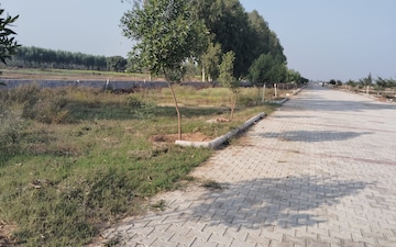 Plot For Sale in Lalru