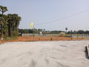  Plot For Sale in Bhogapuram