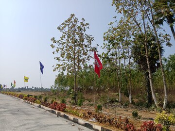 Plot Area in  Plot at Bhogapuram – for Sale