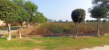 Plot Area in  Plot at Gokul Enclave, Ajmer Road – for Sale