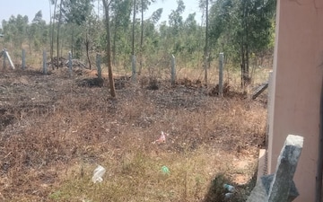 Land For Sale in Chokkanahalli