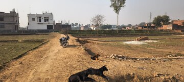 Plot Area in  Plot at JMS Mega City, Sohna Sector 5 – for Sale