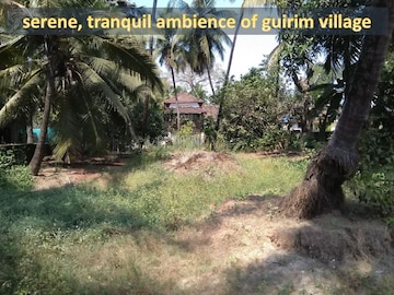 Plot For Resale in Guirim Goa  5153442