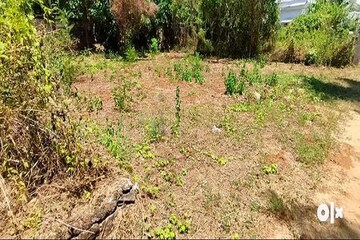 Plot Area in  Plot at Viyyur – for Sale