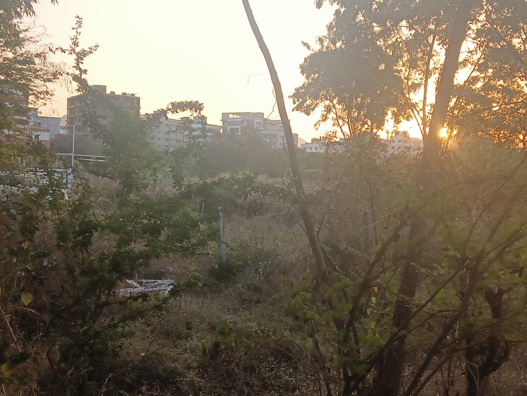 undefined, indira nagar  185 Sq.Yd. Plot In Indira Nagar Nashik 8238137